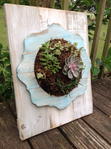 Succulent Creations