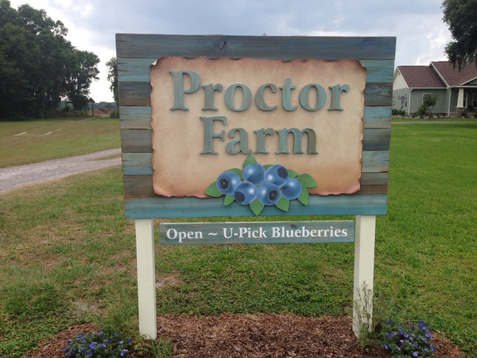 Proctor Blueberry Farm Sign